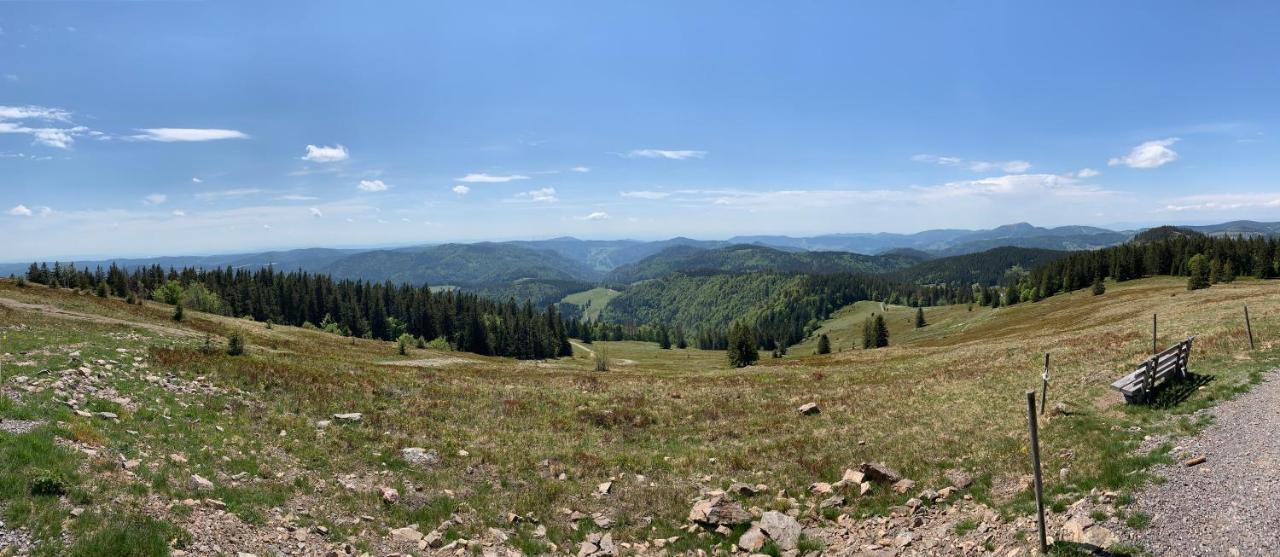 Feldberg Lounge - Residenz Grafenmatt Daire Dış mekan fotoğraf